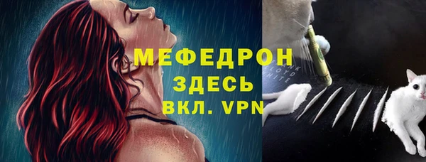 твердый Михайлов