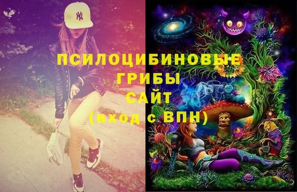 винт Наволоки