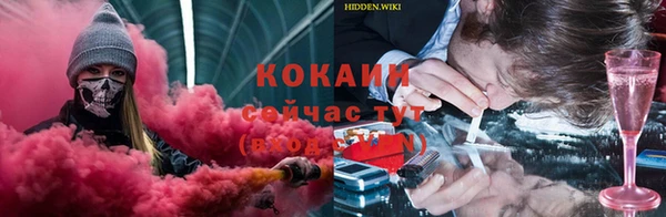 винт Наволоки