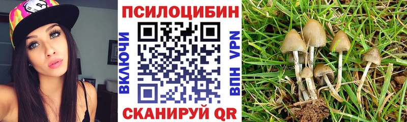 Псилоцибиновые грибы GOLDEN TEACHER  Ивдель 